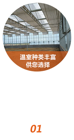 種類多樣